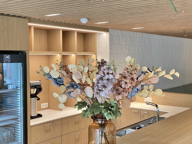 WZC Saffrou Oudenaarde